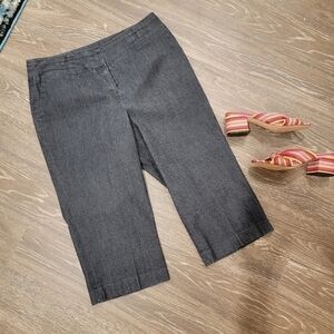 Sandro Woman size 14W Wide Leg Cropped Dark Wash denim pants